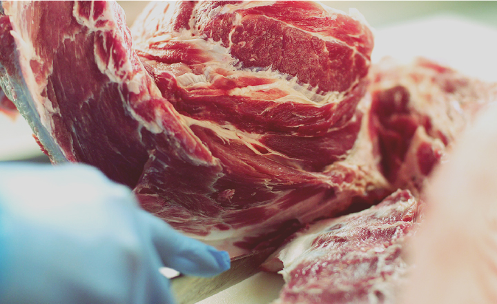 未経験から安心スタート