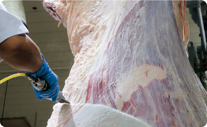 高品質を守る確かな技術